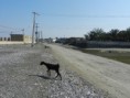 /album/bildgalleri/kargan-souther-iran-feb2014-76-jpg/